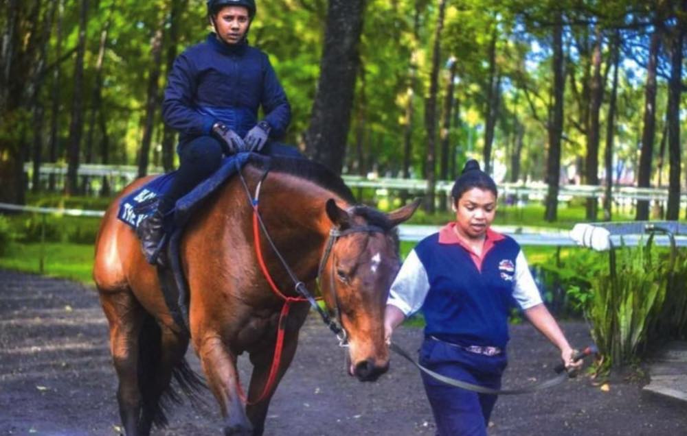 rencontre dans le monde du cheval