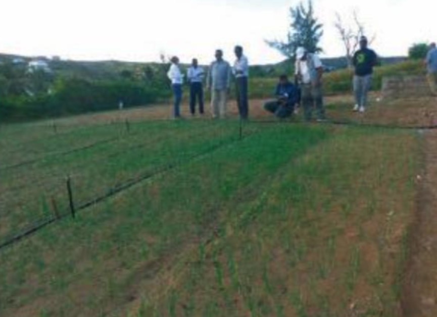 Secteur agricole : Un système d’irrigation lancé en présence du Dr Boliko de la FAO